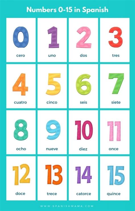 15 in spanish word.